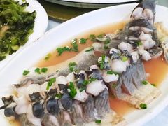 -金海湾海鲜排档(朱家尖店)