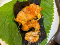-红辣椒八爪鱼特色韩国料理
