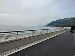 -杨梅坑
