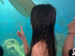 -广东惠东海龟国家级自然保护区