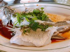 -八仔大富楼·河鲜(西江店)