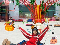 -哈尔滨热雪奇迹