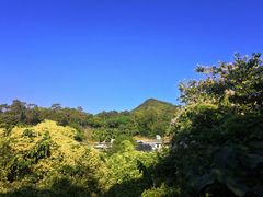 -南丫岛