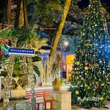 好久没来，依然是广州泰菜天花板