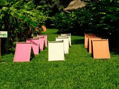 -大象粑粑造纸公园