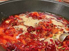 -朱光玉火锅馆(正弘城店)