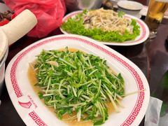 -中国城银都鱼翅酒楼