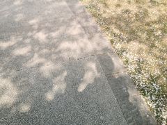 -自然谷恐龙园