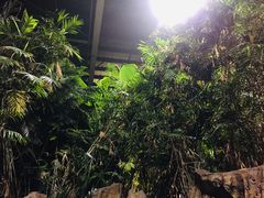 -龙达温泉生态城