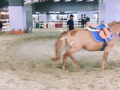 -骑乐马术(广州奥体优托邦中心)