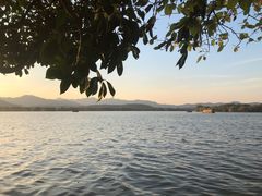 -浙江西子宾馆·牡丹厅