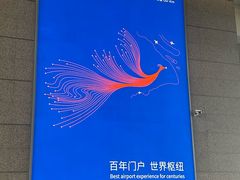 -上海浦东国际机场-T2航站楼