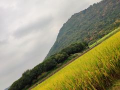 -西湖风景区-江洋畈生态公园
