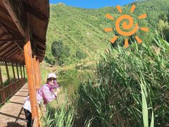 -白河湾生态旅游一条川