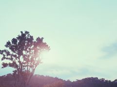 -飞凤山奥体公园