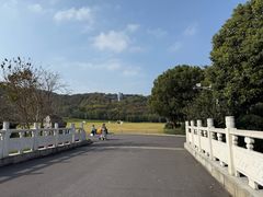 -羊山湖公园