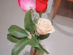 -泰州时尚莱迪购物广场(坡子街商业步行街店)