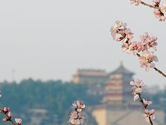 -颐和园