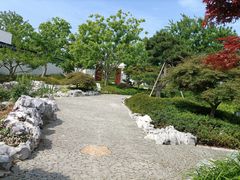 -上海滨江森林公园