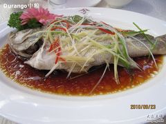 清蒸鲈鱼-蟒山（北京）会议中心