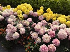 -五通灯塔公园