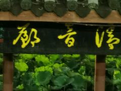 -龙头寺公园