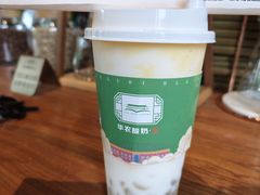 -华农酸奶文化馆