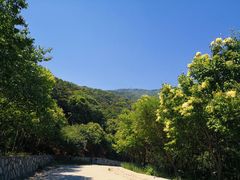 -北京西山国家森林公园