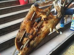 -新疆风味冷水鱼庄(友谊峰路店)