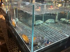 -璞御·海鲜·雪花牛肉局(宾水西道店)