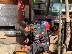 -翕庐小苑