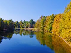 -上海海湾国家森林公园