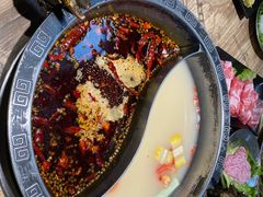 销魂美娃鸳鸯锅-销魂美蛙鱼头火锅(上海首店)