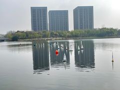 -南翔镇银翔湖公园