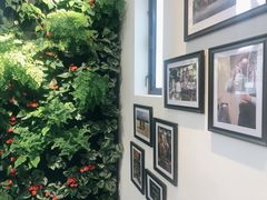 -Peet's Coffee皮爷咖啡(大学路店)