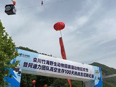 -栾川竹海野生动物园