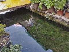 -象山村腊排骨(丽江总店)