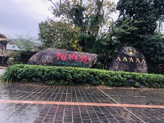 -海南槟榔谷黎苗文化旅游区