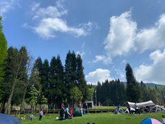 -武陵山森林公园