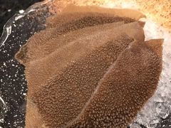 毛肚-王家渡火锅店(棕榈泉店)
