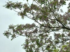 -长广溪湿地公园