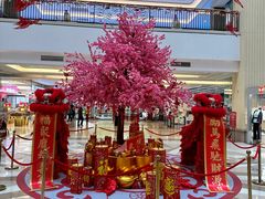 -励骏庞都广场(琴政路店)