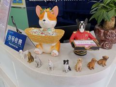 -全心全意连锁动物医院(石景山店)