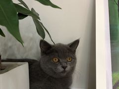 -拜鲁耶动物诊疗中心·宠家动物医院