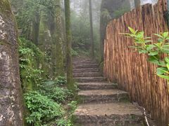 -梦幻奥陶纪景区