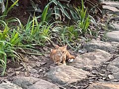 -晓港公园