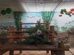 -西霞口神雕山野生动物世界