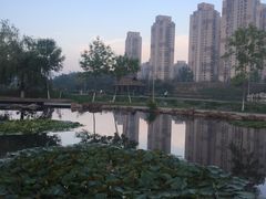 -前关湿地公园