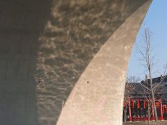 -广富林郊野公园