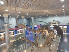 -国家自然博物馆